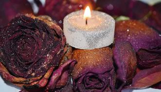 Candle on Red dry roses, Decoration