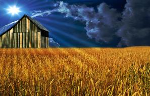Barn on Field