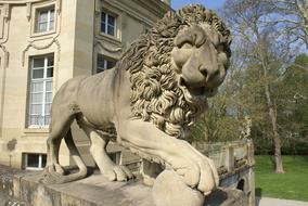 Lion Stature Statue Ludwigsburg