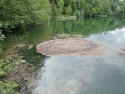Lake Burghausen Woehrtsee
