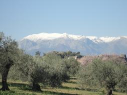 Snow The Nieves Sierra Spain