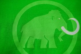 T Shirt Green Mammoth