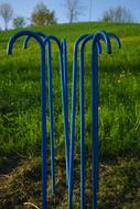 Walking Sticks Blue Art