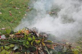 Smoke An Outbreak Of Garden