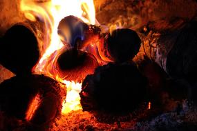 Fire Wood The Flame