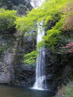 Waterfall Minoo Minoh