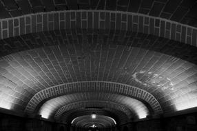 Ceiling Lights Cellar