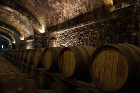 Botti Lights Cellar