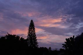 Early Morning Sunrise Outdoor