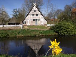 Truss Mirroring Spring