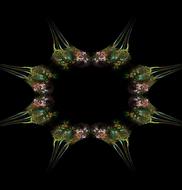 fractal flower on black background