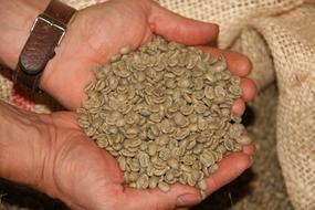 fragrant coffee in hand