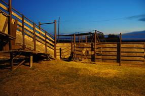 Corral Evening Farm