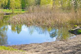 Trees Park Lake