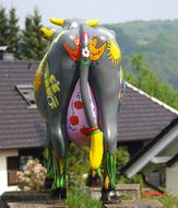 Cow Back Colorful