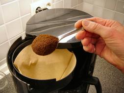 coffee spoon