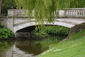 Bridge Reflection