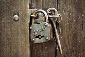 Padlock Castle Security on door