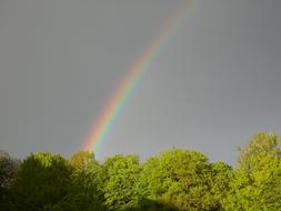Rainbow Rain Sun