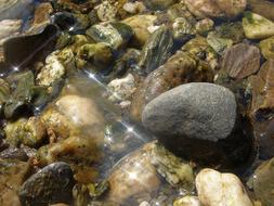 Water River Stone