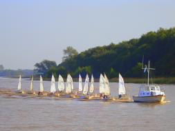 Sailing Boat River