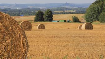 Harvest Grain Agriculture