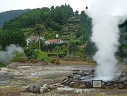 Azores Furnas Thermal Area Ponta