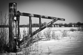 Gate Iron Farm