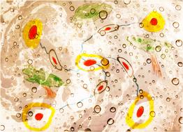 art circle drop of water creative