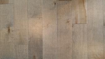 Maple Flooring Wooden Wood Parquet