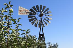 Windmill Farm Rural