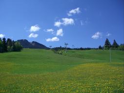 Pointed Allgau Alpine