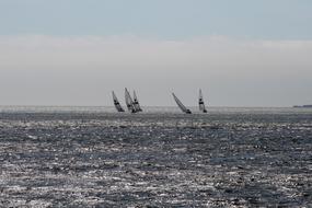 Tejo Sailboats