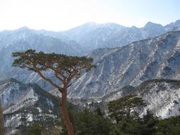 Mt Seoraksan Ulsan Rock