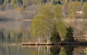 Water Green