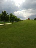 Early Summer Park Trees