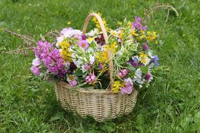 meadow Bouquet Flowers in Basket