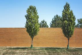 Trees Park Wall Brick