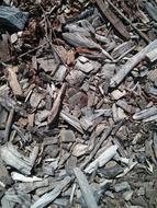 old Wood Chips