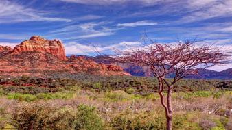 Sedona Arizona Red Rocks landscape