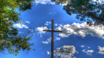 Cross Trees Tree