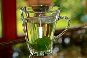 Peppermint Tea in glass