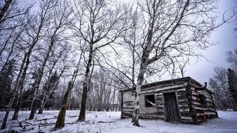 old hut in the forest in winter