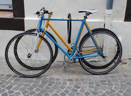 Bicycles Two Blue