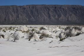 Sand White