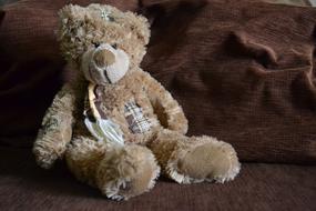 Teddy Bear toy gift