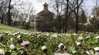 Beautiful and colorful landscape with the architecture, among the plants, with the flying bee, in the spring