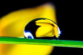 Drop Of Water orhid yellow background