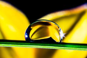 Drop Of Water yellow green background