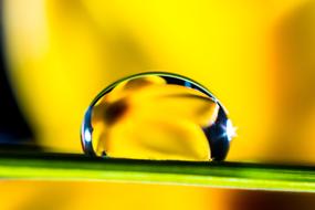 Drop Of Water green yellow